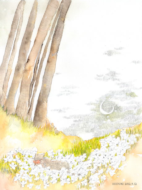 [ $B$5$+$5$^$N7n!#(J ]