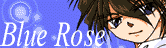 [ BLUE ROSE ]