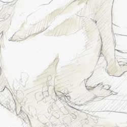 $B2<EI$j$b$I$-ItJ,3HBg!#(J